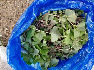 이현상님의 자유주제 · 자유게시판 작성글 사진