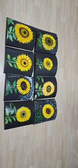 팜모닝 자유주제·자유게시판 게시글 이미지