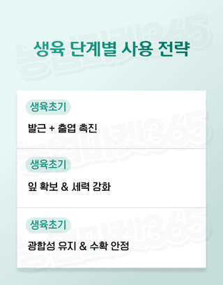 농업마켓365님의 작성글 사진