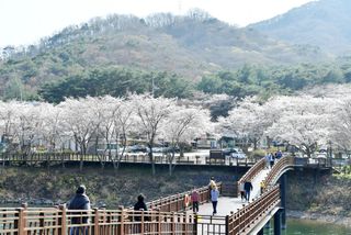 국중선님의 자유주제·자유게시판 작성글 사진