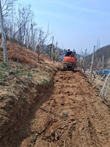 영수농원님의 자유주제·자유게시판 작성글 사진