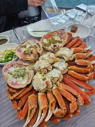 초보퍼머5도2촌준비님의 자유주제 · 사진전 작성글 사진