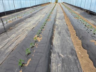 노고단님의 자유주제·자유게시판 작성글 사진