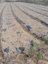 팜모닝 자유주제·자유게시판 게시글 이미지