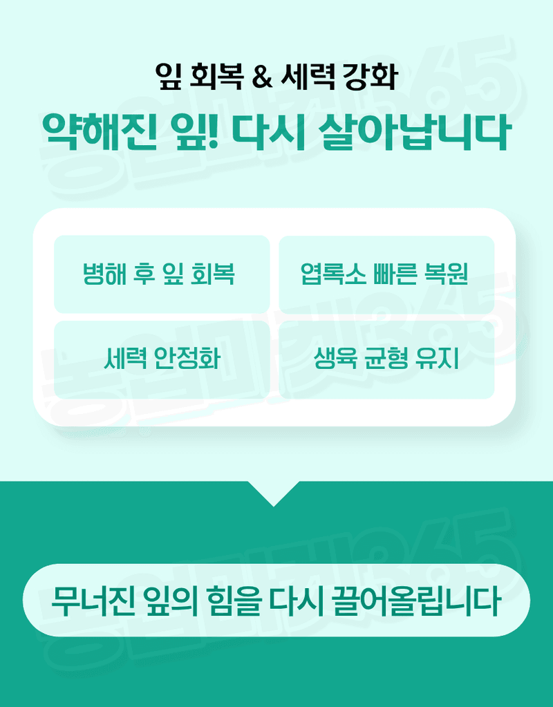 농업마켓365님의 장터 판매 상품 [바이오플랜 녹색탄 500ml 광합성촉진제 갈반병예방 천공병예방 엽록소강화 생육회복제 식물영양제] 첨부 사진