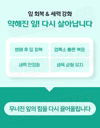 농업마켓365님의 작성글 사진