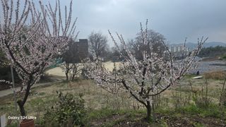 김기숙 님의 자유주제 · 자유게시판 작성글 사진