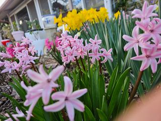 경희아짐님의 자유주제·자유게시판 작성글 사진