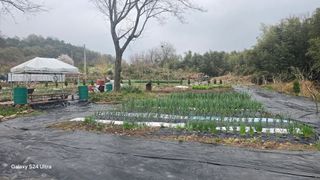 김기숙 님의 자유주제 · 자유게시판 작성글 사진