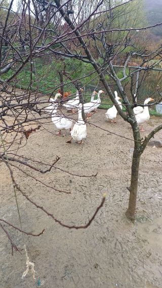 산골촌부님의 자유주제 · 사진전 작성글 사진