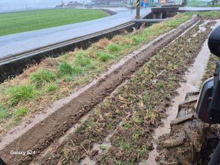 사천시향촌동 돼지띠님의 자유주제 · 자유게시판 작성글 사진