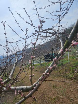 자두15178님의 자유주제 · 자유게시판 작성글 사진