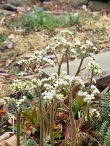 최동수님의 자유주제·자유게시판 작성글 사진