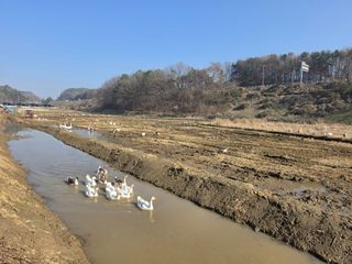 노희식님의 자유주제 · 자유게시판 작성글 사진