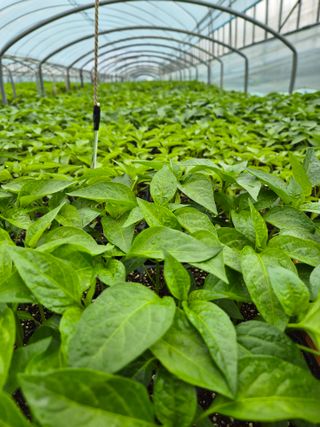 김영진(전남영광)님의 자유주제 · 자유게시판 작성글 사진