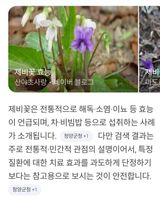 팜모닝 자유주제·자유게시판 게시글 이미지