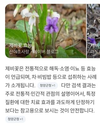 포도10314님의 자유주제 · 자유게시판 작성글 사진
