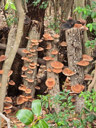 문혜정원님의 자유주제 · 자유게시판 작성글 사진