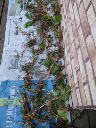 이현상님의 자유주제 · 자유게시판 작성글 사진