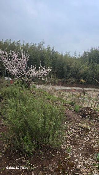 김기숙 님의 자유주제 · 자유게시판 작성글 사진