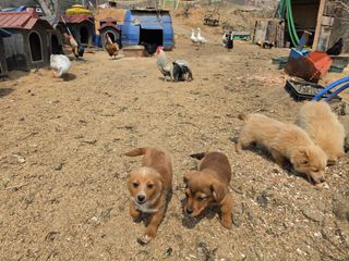 노희식님의 자유주제 · 자유게시판 작성글 사진