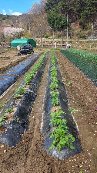 쉬엄쉬엄 일햐자님의 자유주제 · 자유게시판 작성글 사진