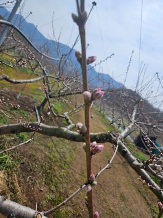 자두15178님의 자유주제 · 자유게시판 작성글 사진
