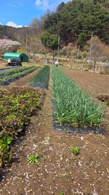 쉬엄쉬엄 일햐자님의 자유주제·자유게시판 작성글 사진