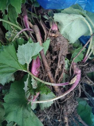 이현상님의 자유주제 · 자유게시판 작성글 사진