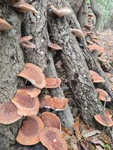 문혜정원님의 자유주제·자유게시판 작성글 사진