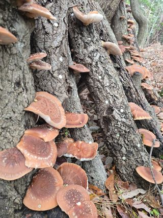 문혜정원님의 자유주제 · 자유게시판 작성글 사진