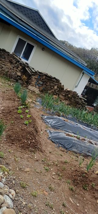 초보퍼머5도2촌준비님의 자유주제 · 자유게시판 작성글 사진