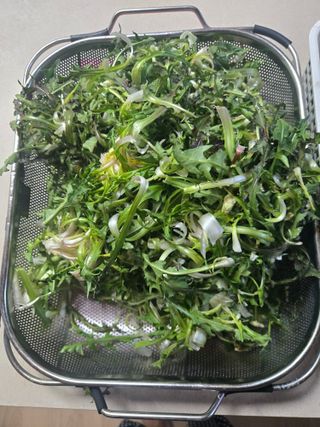 강원사랑인님의 자유주제 · 자유게시판 작성글 사진