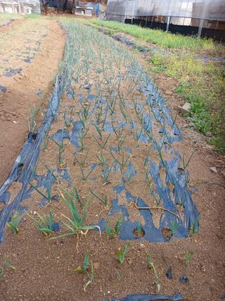 전국하님의 자유주제 · 자유게시판 작성글 사진