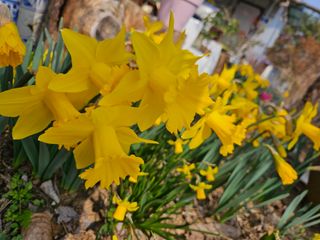 경희아짐님의 자유주제 · 자유게시판 작성글 사진