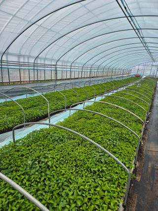 김영진(전남영광)님의 자유주제 · 자유게시판 작성글 사진