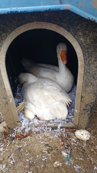 산골촌부님의 자유주제 · 사진전 작성글 사진