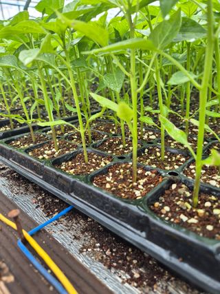 김영진(전남영광)님의 자유주제 · 자유게시판 작성글 사진