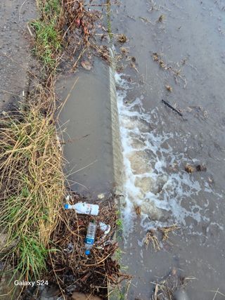 사천시향촌동 돼지띠님의 자유주제 · 자유게시판 작성글 사진