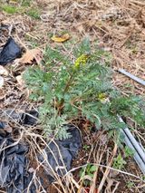 호랑이와인성이님의 자유주제·자유게시판 작성글 사진