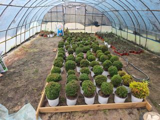 문혜정원님의 자유주제 · 자유게시판 작성글 사진