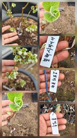 팜모닝 자유주제·자유게시판 게시글 이미지