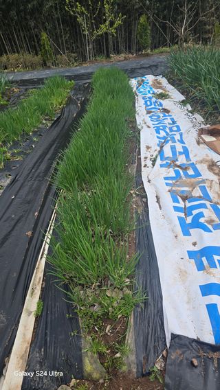 김기숙 님의 자유주제 · 자유게시판 작성글 사진