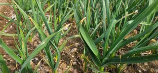 구춘봉님의 자유주제 · 자유게시판 작성글 사진