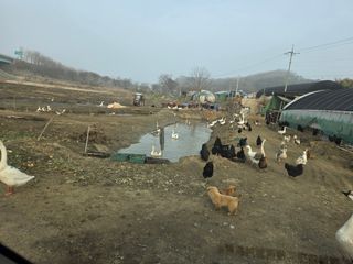 노희식님의 자유주제 · 자유게시판 작성글 사진