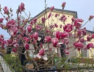 철남 김희곤님의 자유주제 · 자유게시판 작성글 사진