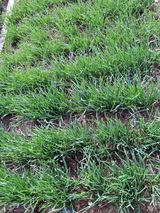 영흥천국님의 자유주제·칭찬해요 작성글 사진