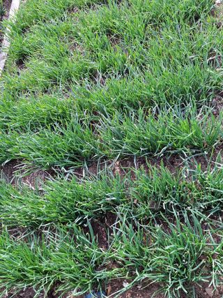 영흥천국님의 자유주제 · 칭찬해요 작성글 사진