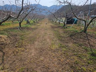 자두15178님의 자유주제 · 자유게시판 작성글 사진