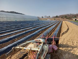 Happy100w님의 자유주제·자유게시판 작성글 사진